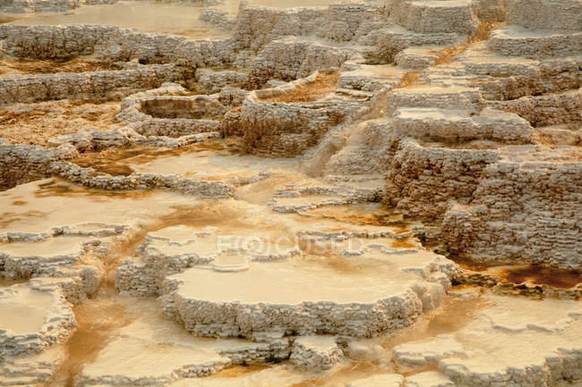 Terraços (feitos de carbonato de cálcio cristalizado) dominam a paisagem em Mammoth Hot Springs, Yellowstone National Park; Wyoming, Estados Unidos da América — Fotografia de Stock
