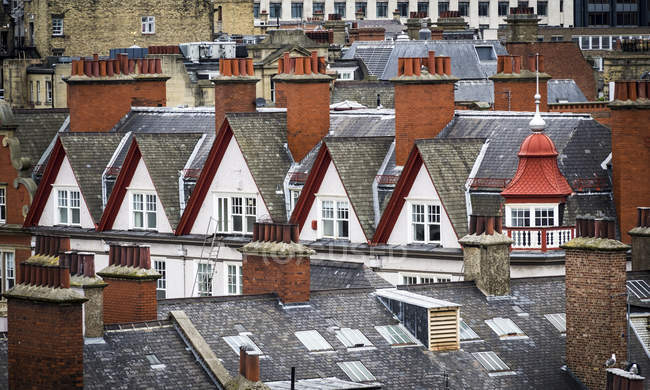 Viejos tejados y chimeneas; Newcastle Upon Tyne, Tyne And Wear, Inglaterra - foto de stock