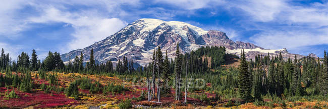 Перегляд Mount Rainier, Mount Rainier національного парку; Вашингтон, Сполучені Штати Америки — стокове фото