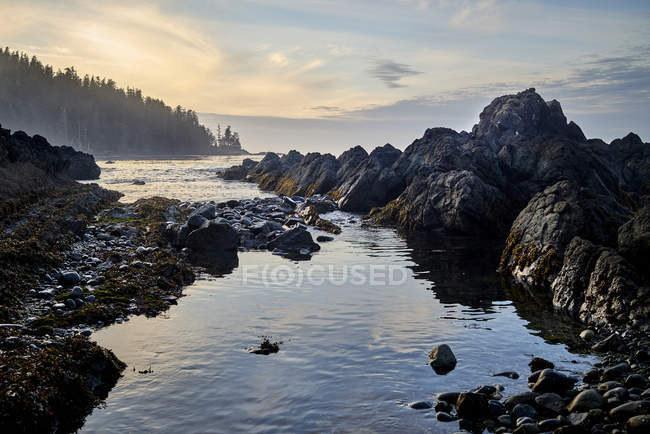 Formations rocheuses accidentées le long du littoral au coucher du soleil, parc provincial Cape Scott, île de Vancouver ; Colombie-Britannique, Canada — Photo de stock