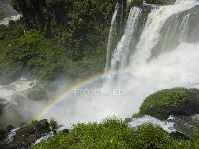 Vista da cachoeira e arco-íris sobre grama verde e plantas em falésias — Fotografia de Stock