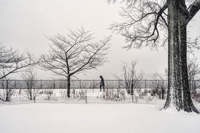Blizzard Conditions By The Jacqueline Kennedy Onassis Reservoir, Central Park ; New York City, New York, États-Unis d'Amérique — Photo de stock