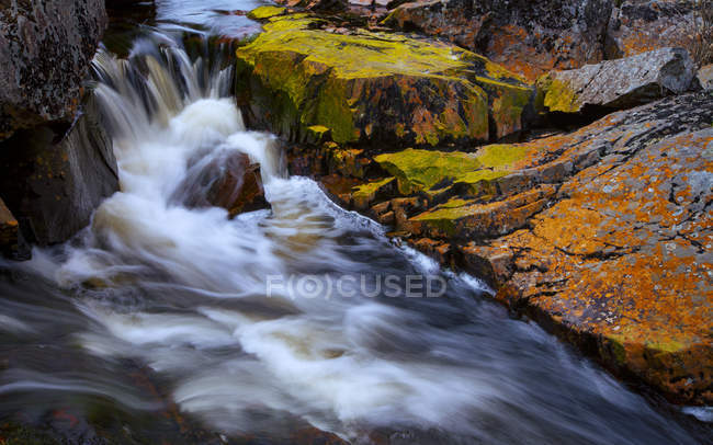 Wasser fließt tagsüber über über Steine und Felsen im Wald — Stockfoto