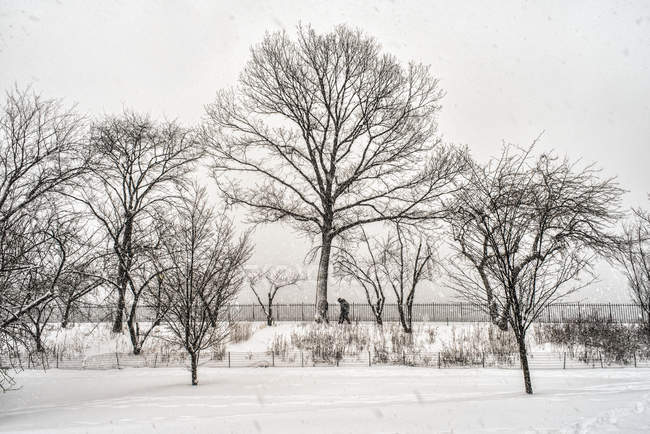 Schneesturm am Stausee im Central Park; New York City, New York, Vereinigte Staaten von Amerika — Stockfoto