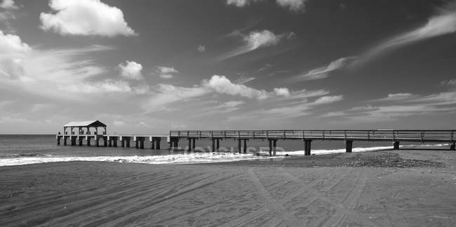 Black and white picture of wooden pier over sea water under cloudy sky — Stock Photo
