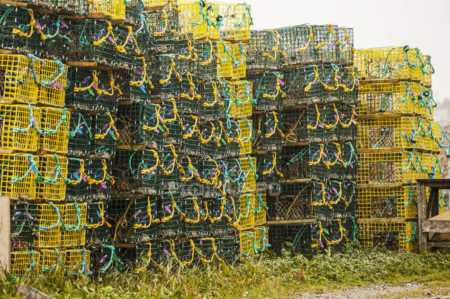 Trampas de pesca amarillas y verdes en pilas en la orilla de la costa atlántica; Terranova, Canadá - foto de stock
