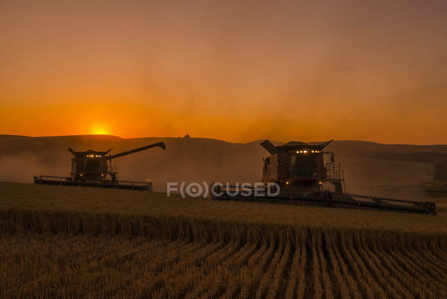 Récolte d'une récolte au coucher du soleil ; Washington, États-Unis — Photo de stock
