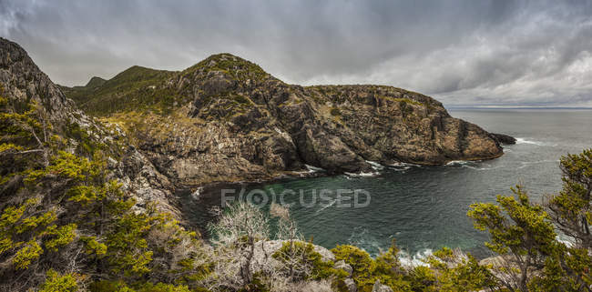Vue sur l'eau de mer et la falaise rocheuse avec des arbres et de l'herbe poussant sur des pierres sous un ciel orageux — Photo de stock