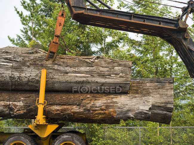 Large logs on a transport truck being lifted off; Riondel, British Columbia, Canada — Stock Photo