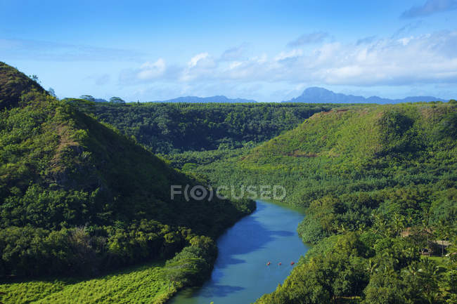 Пишні дерева і рослини на пагорбах і річкова вода пішки вдень — стокове фото