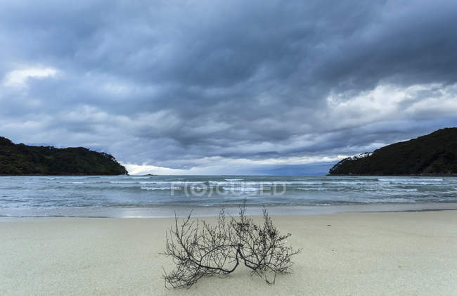 Twigs laying on sandy shore against water and hills on background under cloudy sky — Stock Photo