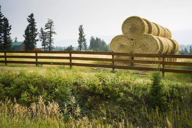 Green grass field with fence against hay stacks during daytime — Stock Photo