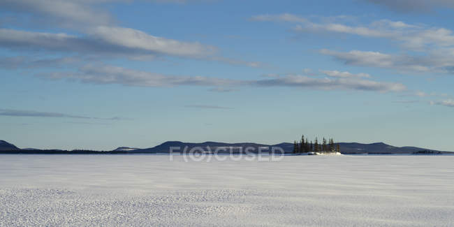 Campo cubierto de nieve con una pequeña agrupación de árboles y silueta de montañas a la distancia; Arjeplog, Condado de Norrbotten, Suecia - foto de stock