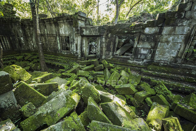 Mousse poussant sur des pierres tombées dans les ruines du temple khmer de Beng Meala ; Siem Reap, Cambodge — Photo de stock