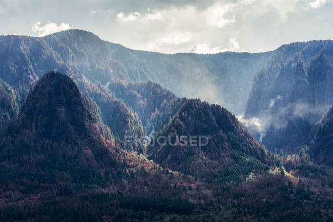 Хот-спотів дим довгий час після лісова пожежа в Колумбії ущелини, Warrendale, Сполучені Штати Америки — стокове фото