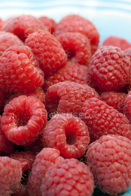 Close-up de framboesas frescas e vermelhas — Fotografia de Stock