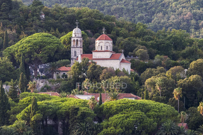 Eine Kirche und Gebäude am Hang, umgeben von Bäumen; herceg novi, montenegro — Stockfoto