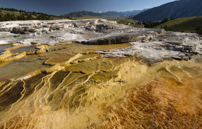 Mammoth Springs, горячие минеральные источники, Йеллоустонский национальный парк, штат Вайоминг, Соединенные Штаты Америки — стоковое фото