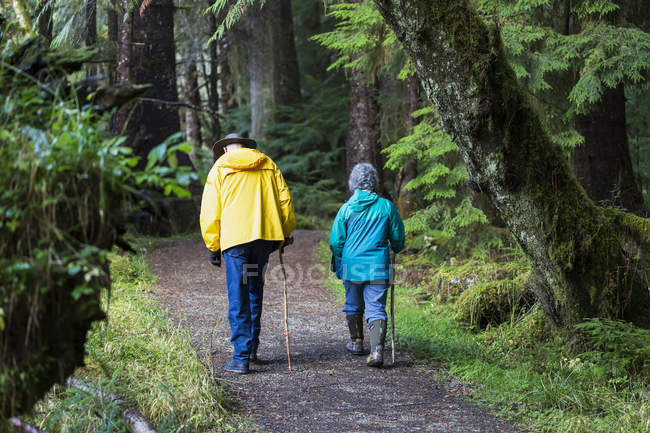 Um casal sênior caminhando na Golden Spruce Trail em uma antiga floresta de crescimento; Port Clement, Haida Gwaii, British Columbia, Canadá — Fotografia de Stock