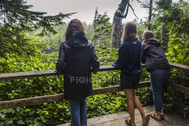 Una madre y sus dos hijas de pie en una plataforma de observación mirando a la exuberante selva tropical - foto de stock