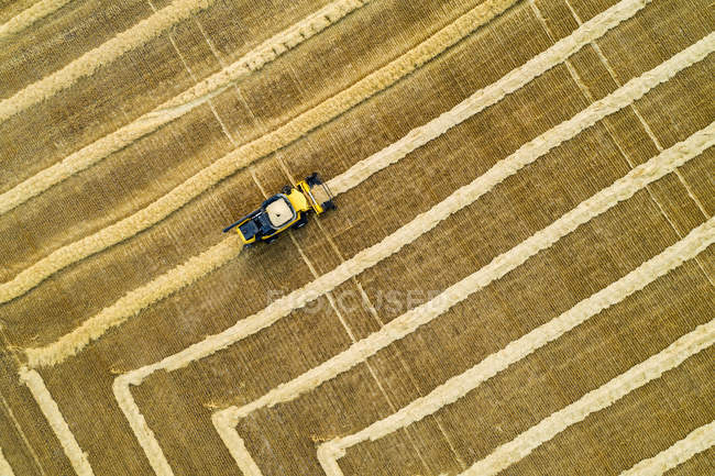 Künstlerische Luftaufnahme direkt über einem Mähdrescher, der Kornlinien sammelt; beiseker, alberta, canada — Stockfoto