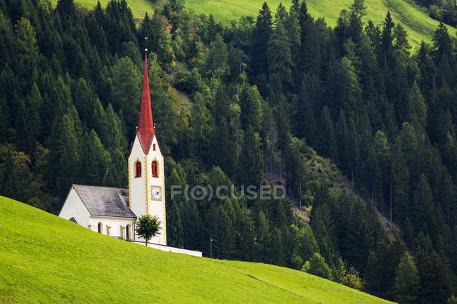 Tall church steeple on grassy alpine slope with treed slope in the background; Parggenhof, Bolzano, Italy — Stock Photo
