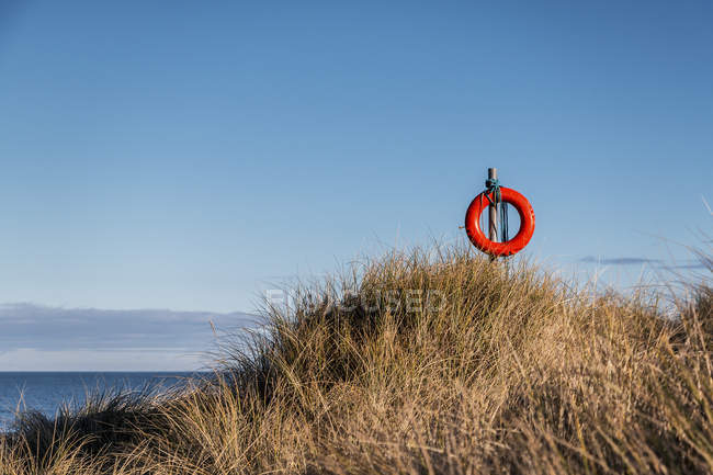 Salvavidas en medio de las hierbas en la cima de las dunas con vistas al mar y los cielos azules; Northumberland, Inglaterra - foto de stock