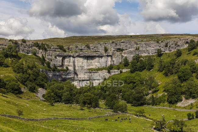 Malham cove, eine Kalksteinformation in den yorkshire dales; malham, north yorkshire, england — Stockfoto