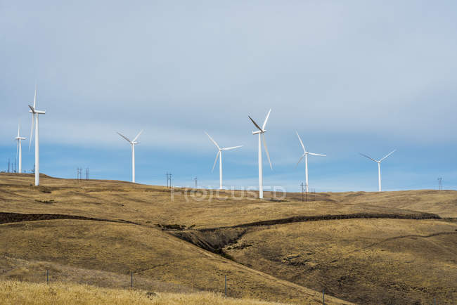 Ветряные турбины отмечают горизонт в Восточном Вашингтоне; Мэрихилл, Вашингтон, США — стоковое фото