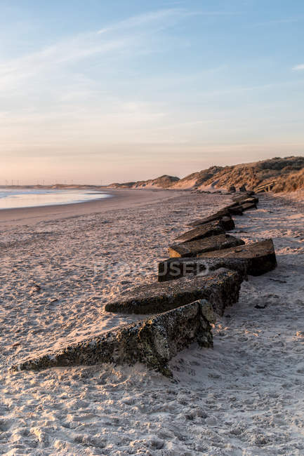 Vue tôt le matin de la plage d'Amble montrant une ligne de défenses en béton de la Seconde Guerre mondiale enfouies dans le sable ; Amble by the Sea, Northumberland, Angleterre — Photo de stock