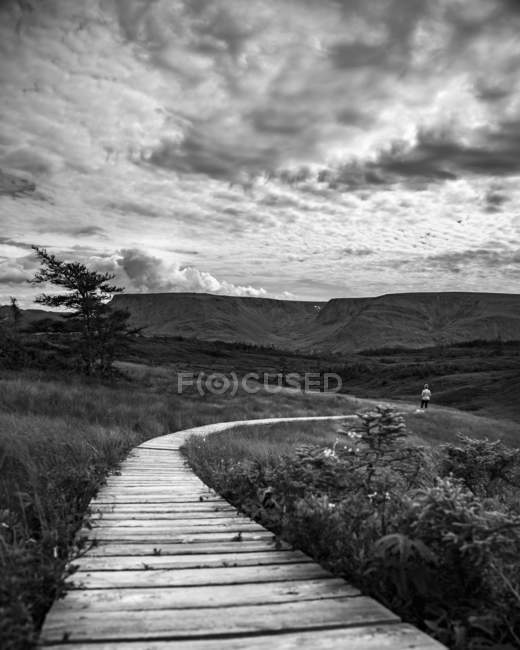 Wooden boardwalk stretching across landscape with man in the distance, Bonavista, Newfoundland and Labrador, Canada — Stock Photo