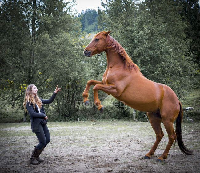 Una giovane donna che allena un cavallo in un campo e il cavallo è in piedi su di esso è zampe posteriori davanti a lei — Foto stock
