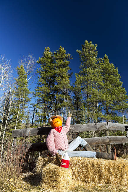Humorous halloween mannequin sitting on hay bale with pumpkin head and wooden fence; Bragg Creek, Alberta, Canada — Stock Photo