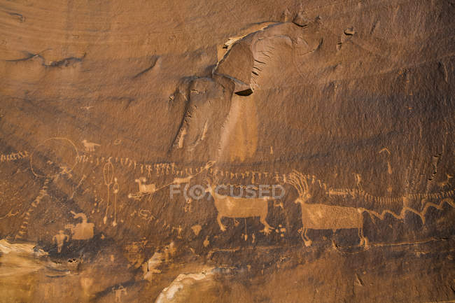Petrogylf 'Procession Panel', Butler Wash, Shash Jaa National Monument; Utah, United States America — стоковое фото