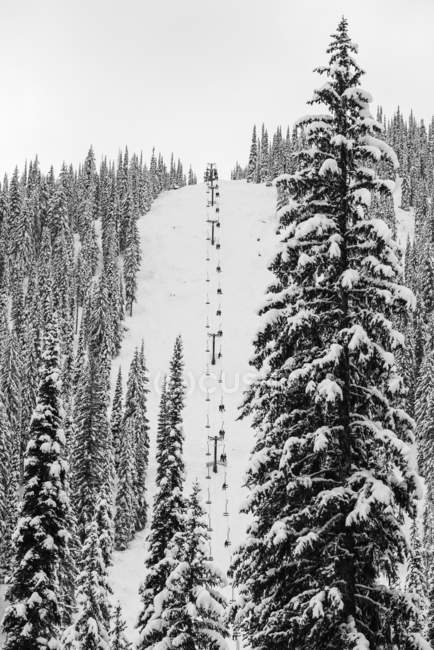 Um elevador de cadeira subindo uma encosta íngreme em uma colina de esqui coberta de neve no Whitewater Resort; Nelson, British Columbia, Canadá — Fotografia de Stock