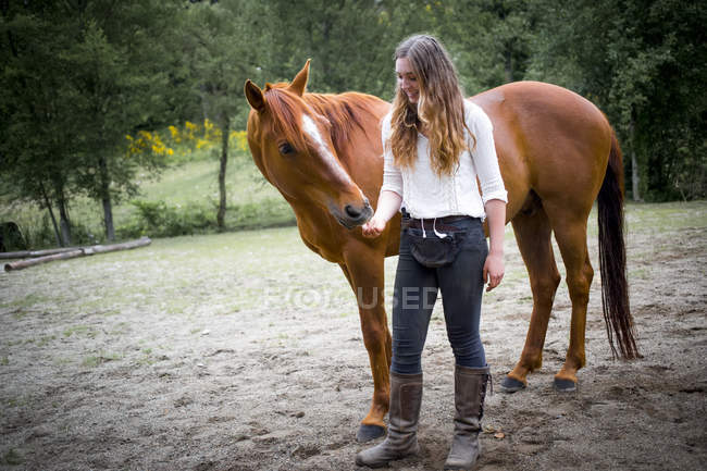 Ein junges Mädchen, um ihr Pferd zu füttern und zu pflegen; britisch columbia, canada — Stockfoto
