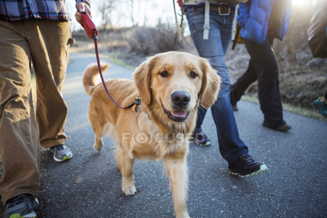 People walking on a trail with a dog; Anchorage, Alaska, United States of America — Stock Photo