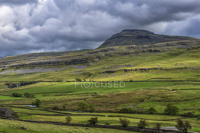 Ingleborough is the second-highest mountain in the Yorkshire Dales. It is one of the Yorkshire Three Peaks, the other two being Whernside and Pen-y-ghent; Yorkshire Dales, England — Stock Photo