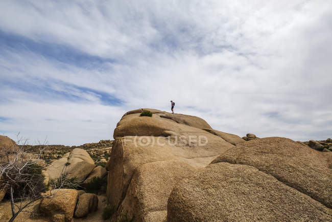 Un randonneur dans le parc national Joshua Tree ; Californie, États-Unis d'Amérique — Photo de stock