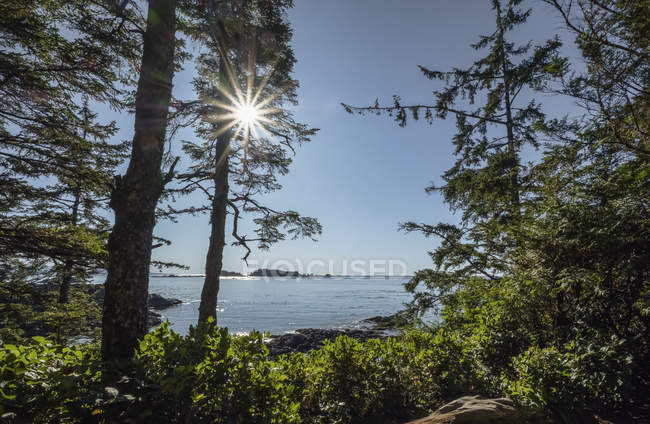 Wild Pacific Trail, Lighthouse Loop, Vancouver Island; Uculet, British Columbia, Canadá — Fotografia de Stock