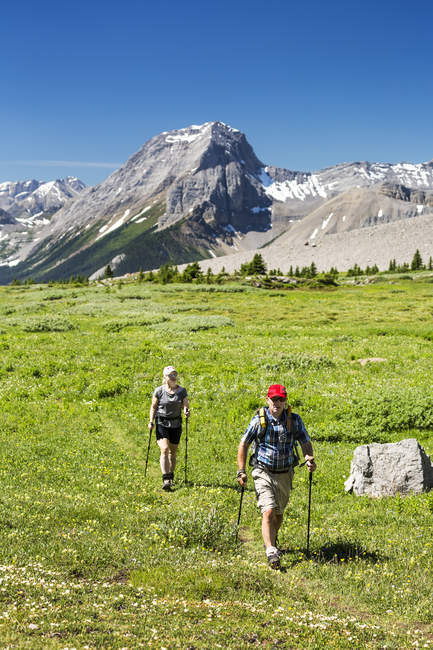 Un homme et une femme marchant le long d'un sentier de prairie alpine avec des montagnes et un ciel bleu en arrière-plan ; Kananaskis Country, Alberta, Canada — Photo de stock