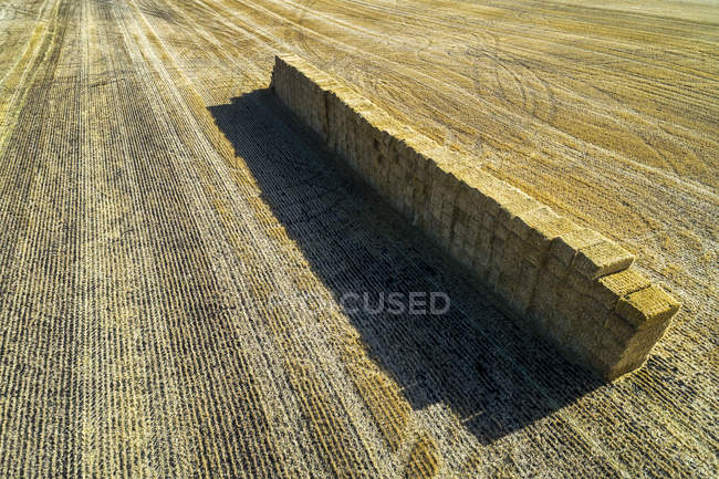 Luftaufnahme von gestapelten quadratischen Heuballen in einem geschnittenen Feld mit langen Schatten; alberta, canada — Stockfoto