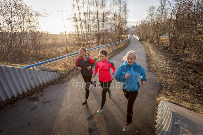 Tres mujeres jóvenes corriendo en un sendero al amanecer; Anchorage, Alaska, Estados Unidos de América - foto de stock