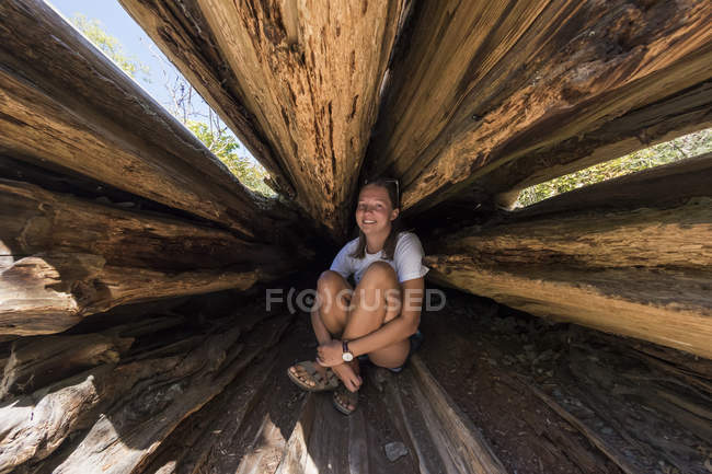 Una mujer joven se sienta dentro de un tronco de árbol sagrado en Goldstream Provincial Park, Isla Vancouver; Columbia Británica, Canadá - foto de stock