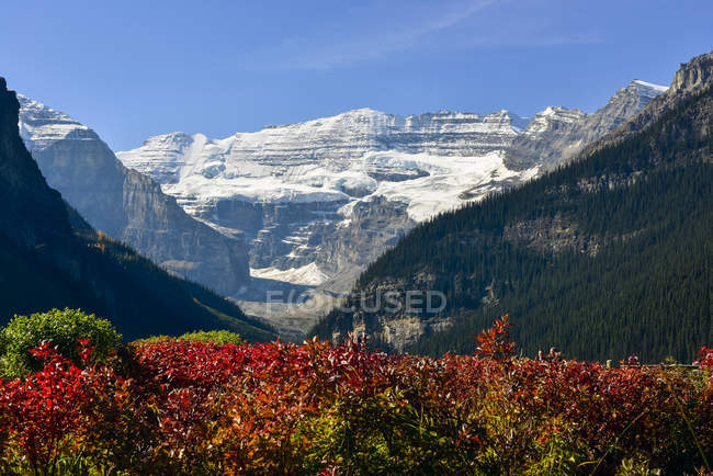 Lake Lousie glacier viewed from Chateau Lake Louise, Banff National Park; Alberta, Canada — Stock Photo
