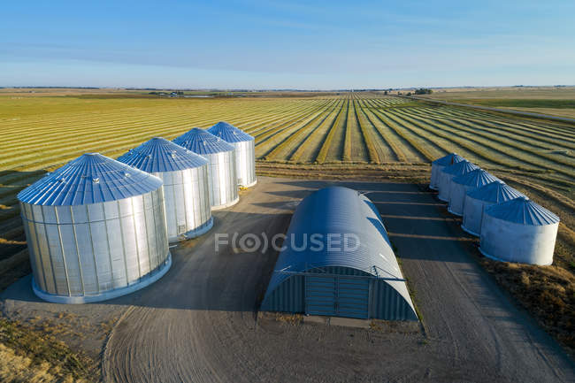 Vista aérea de cuatro grandes contenedores de granos metálicos y líneas de cosecha de canola al amanecer con largas sombras; Alberta, Canadá - foto de stock