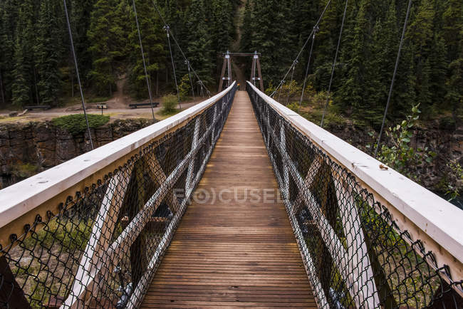 Pont suspendu au-dessus du canyon Miles ; Whitehorse, Yukon, Canada — Photo de stock