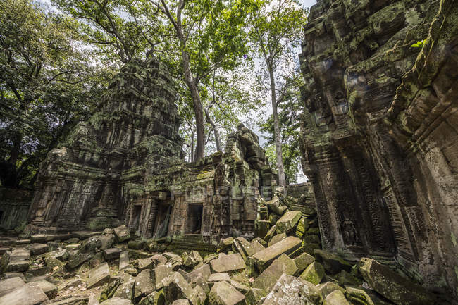 Ruines du temple Ta Prohm envahies par la végétation ; Angkor, Siem Reap, Cambodge — Photo de stock