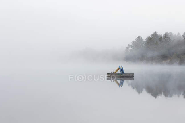 Le brouillard recouvre une petite île du lac Turtle, dans la région de Muskoka, en Ontario, près de Rosseau ; Ontario, Canada — Photo de stock