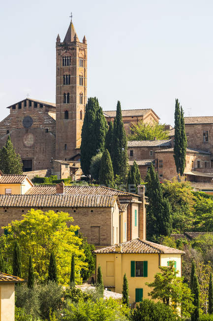 Bâtiments en pierre et église sur paysage couvert d'arbres ; Sienne, Toscane, Italie — Photo de stock